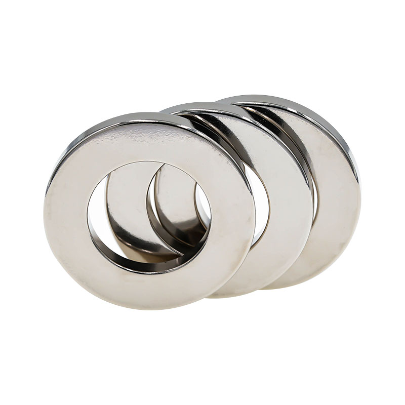 Step motor mıknatısı