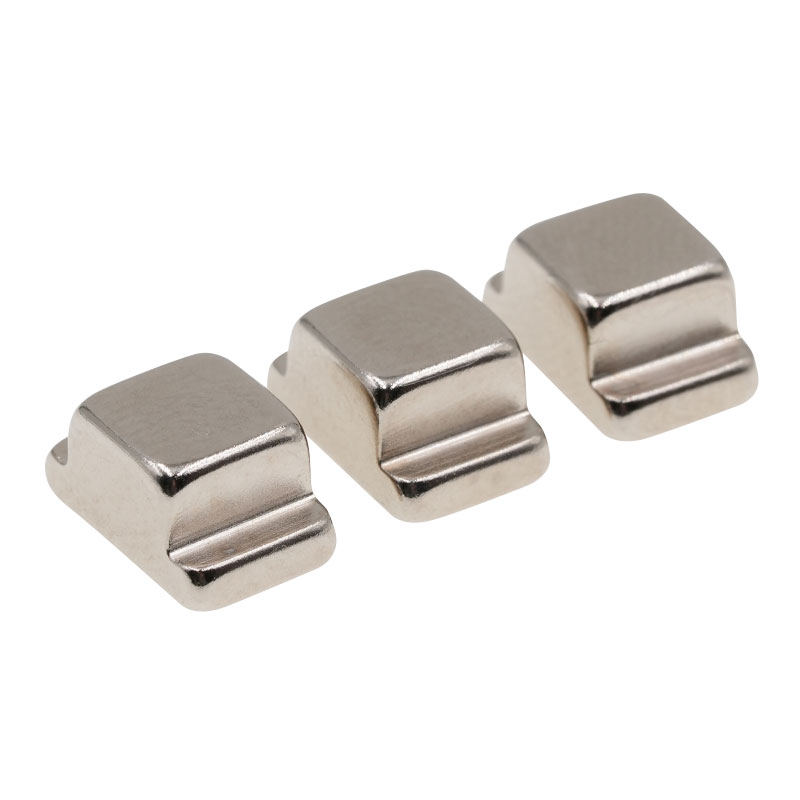 Özel Şekil Kalıcı Mıknatıs